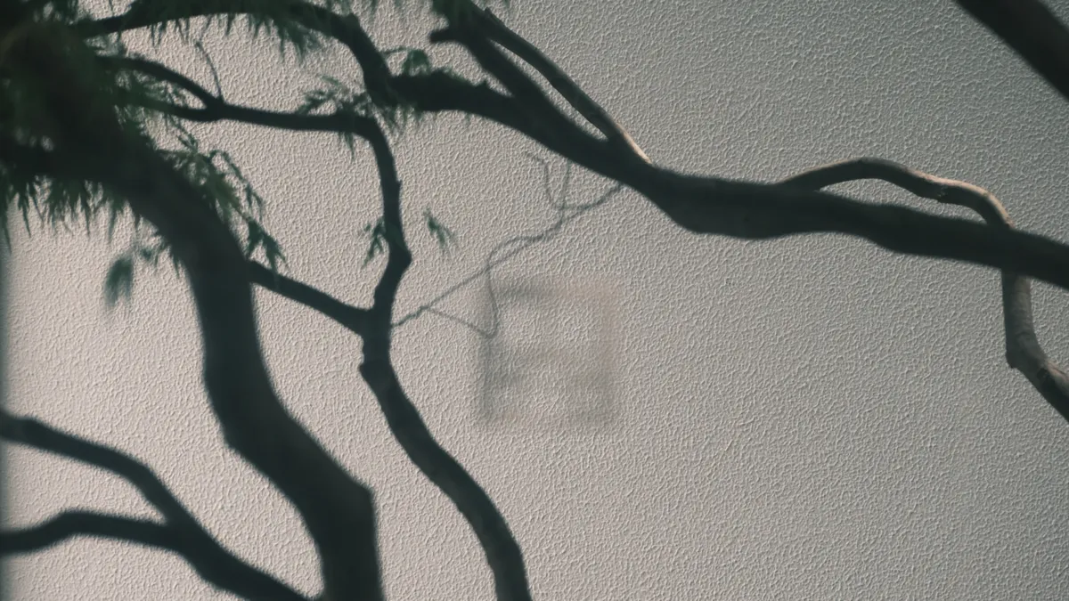 观念相册，第 7 张照片