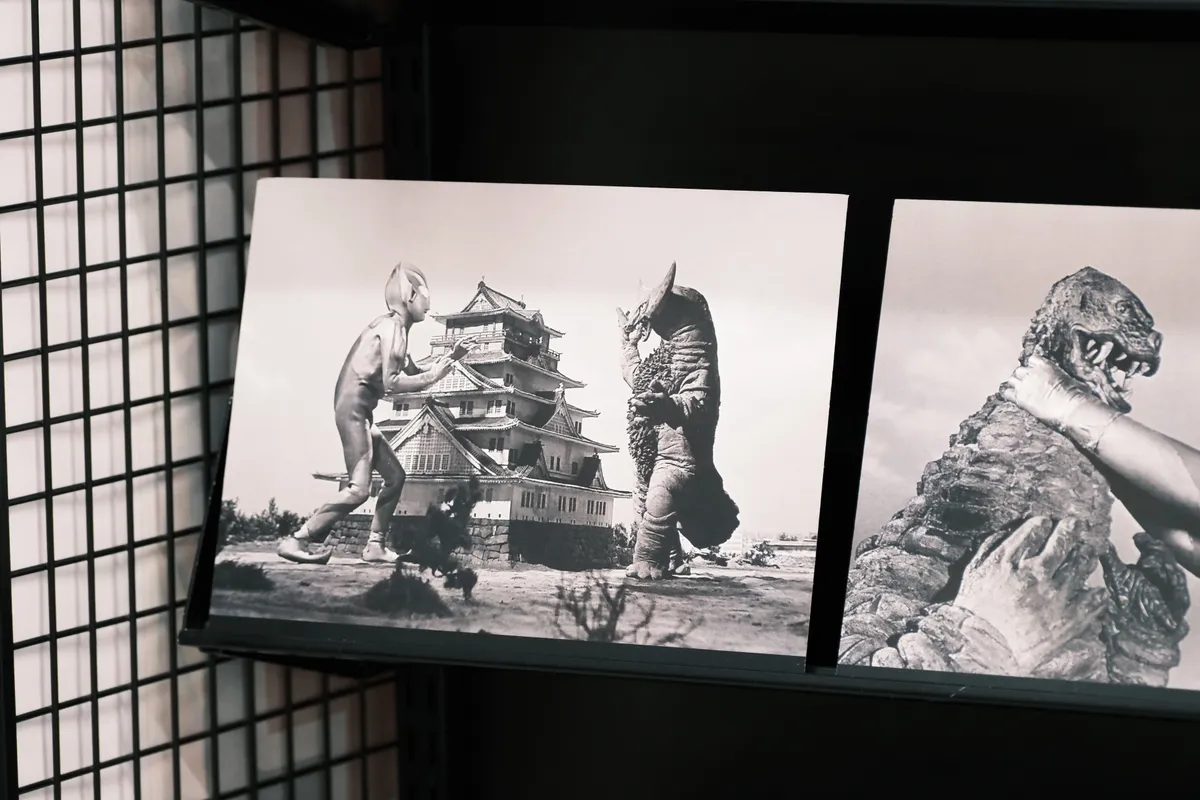 静物相册，第 7 张照片
